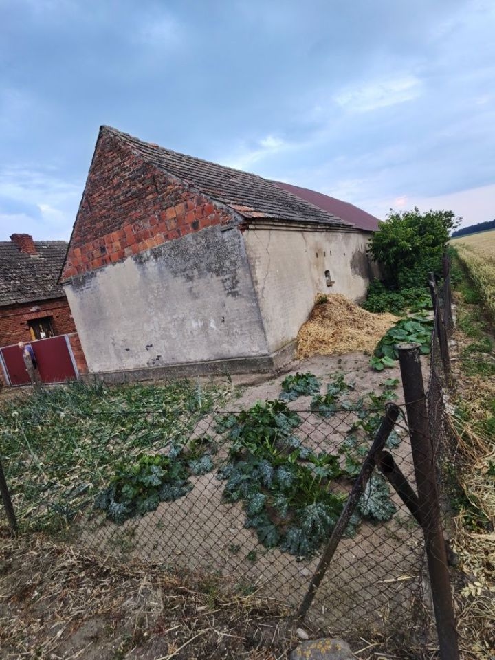 dom wolnostojący Grodnica. Zdjęcie 3