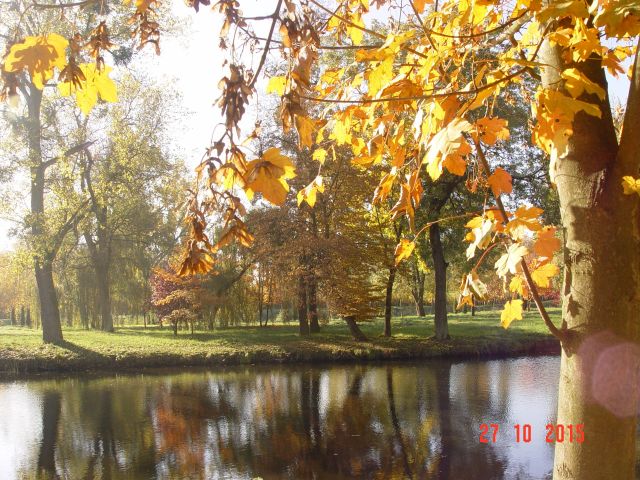 dworek, 10 pokoi Popowo Kościelne. Zdjęcie 1