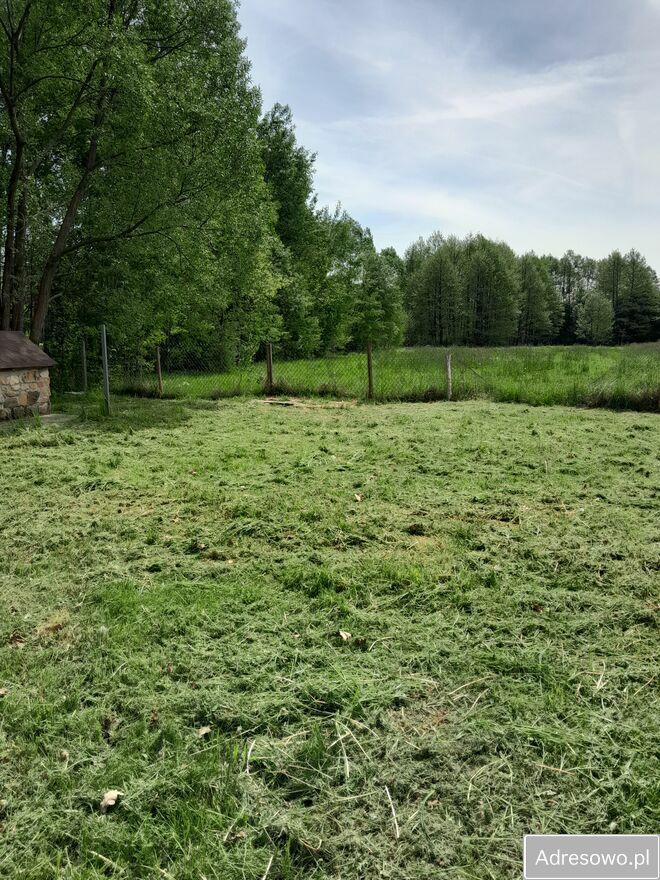 Działka budowlana Grodzisko. Zdjęcie 8