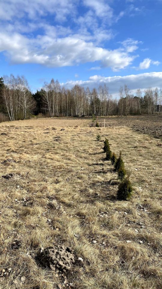 Działka rolno-budowlana Lińsk. Zdjęcie 5