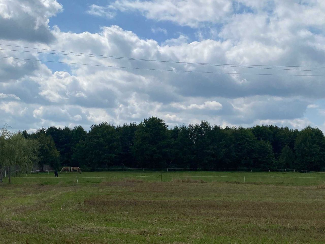 Działka budowlana Boruja Kościelna. Zdjęcie 6