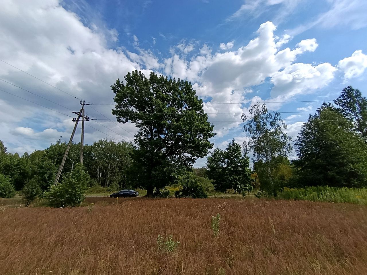 Działka rolno-budowlana Jaźwie, ul. Rodziny Majewskich. Zdjęcie 10