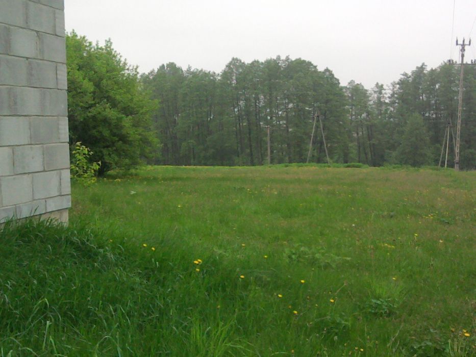 Działka budowlana Zielonka Stara. Zdjęcie 3