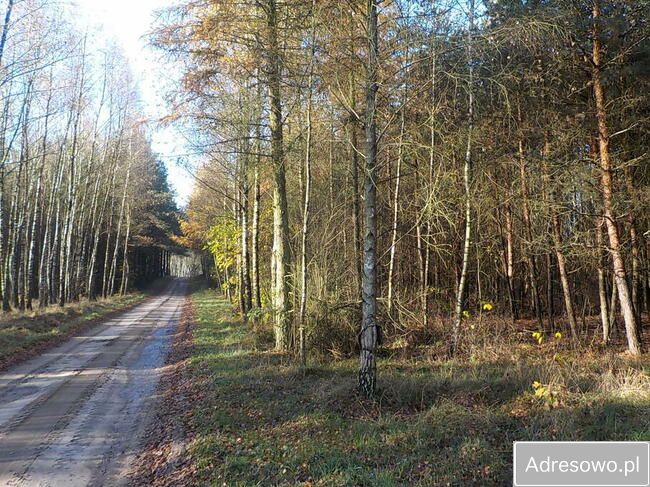 Działka Ludowice. Zdjęcie 14