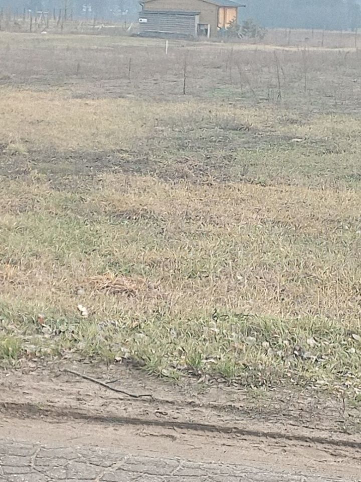 Działka rekreacyjna Nowe Miasto. Zdjęcie 3