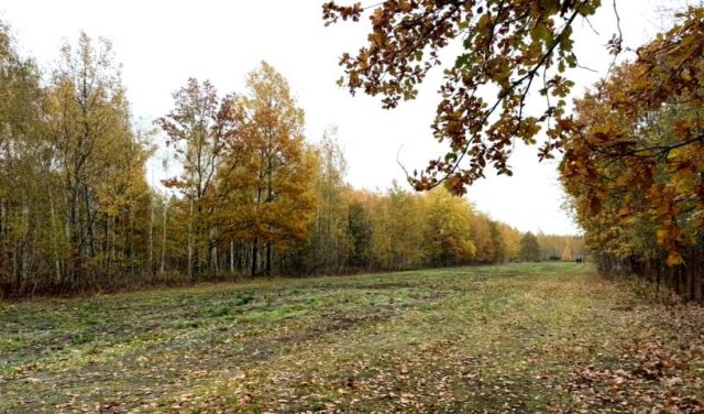 Działka budowlana Rżyska, Kwiatów Polnych. Zdjęcie 1