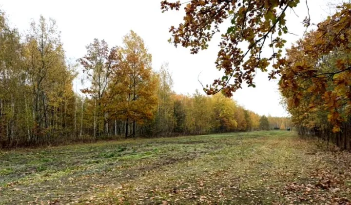 Działka budowlana Rżyska, Kwiatów Polnych