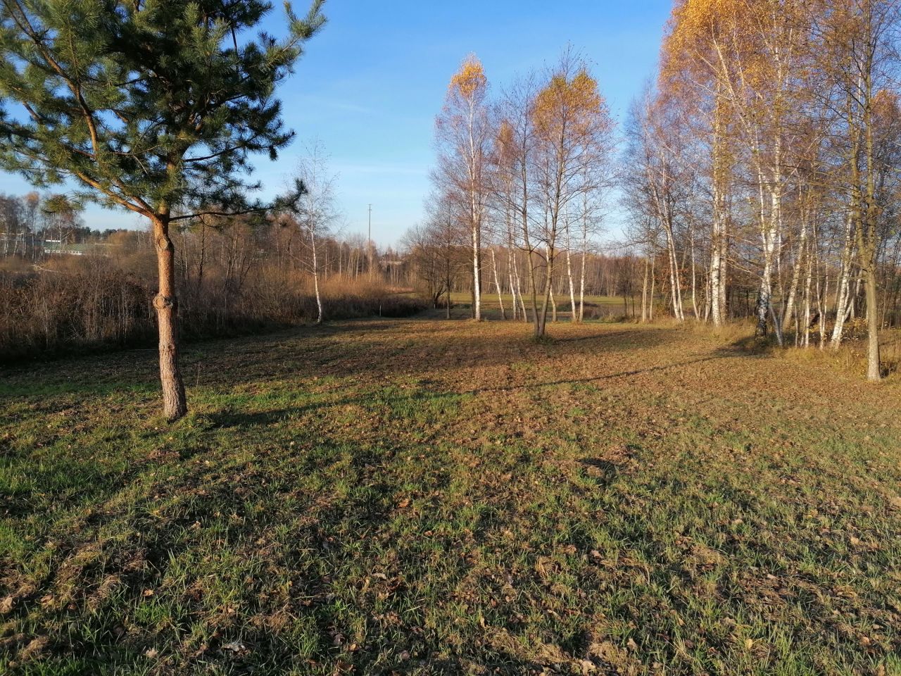 Działka rolno-budowlana Gniewce. Zdjęcie 7