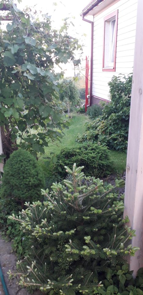 dom wolnostojący, 3 pokoje Studzianki. Zdjęcie 19