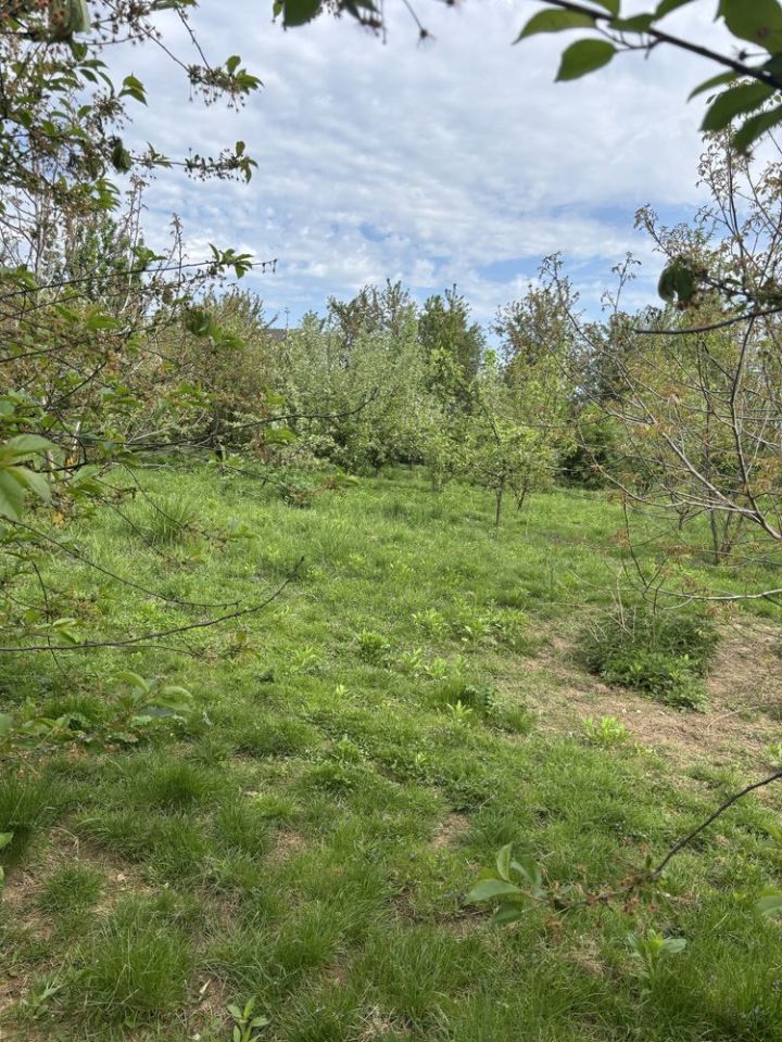 Działka budowlana Miłków. Zdjęcie 3