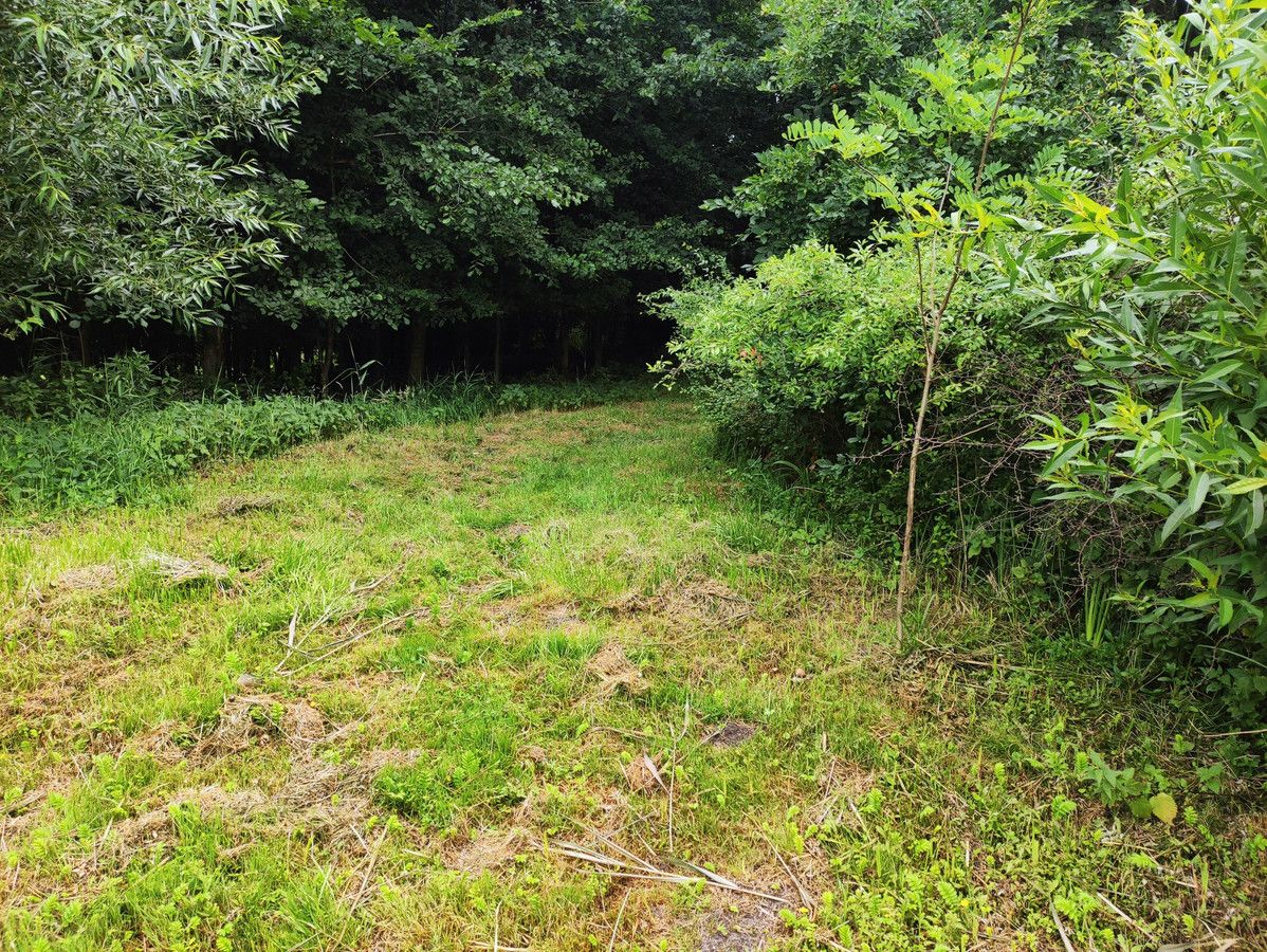 Działka budowlana Dębnica. Zdjęcie 4