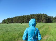 Działka siedliskowa Smołdziński Las. Zdjęcie 1