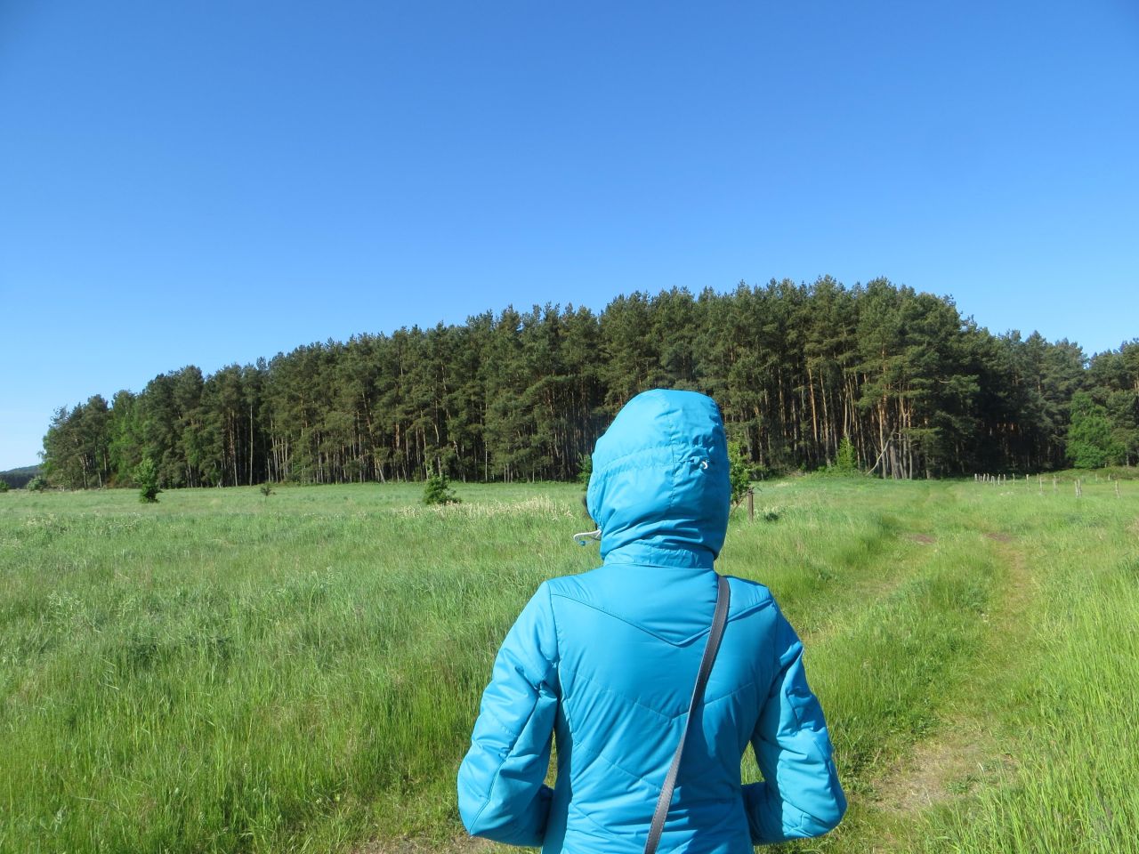 Działka siedliskowa Smołdziński Las. Zdjęcie 2