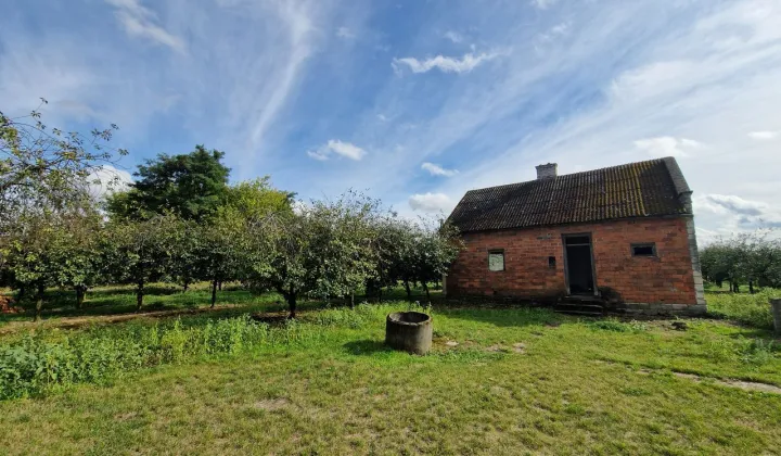 Działka siedliskowa Daromin