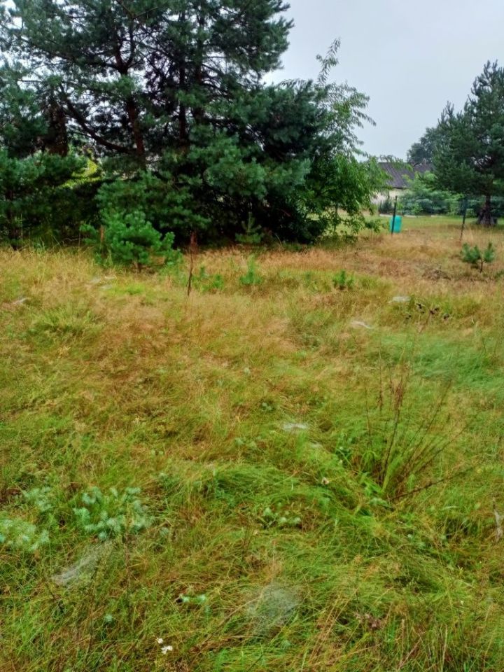 Działka rolno-budowlana Rzędkowice. Zdjęcie 7