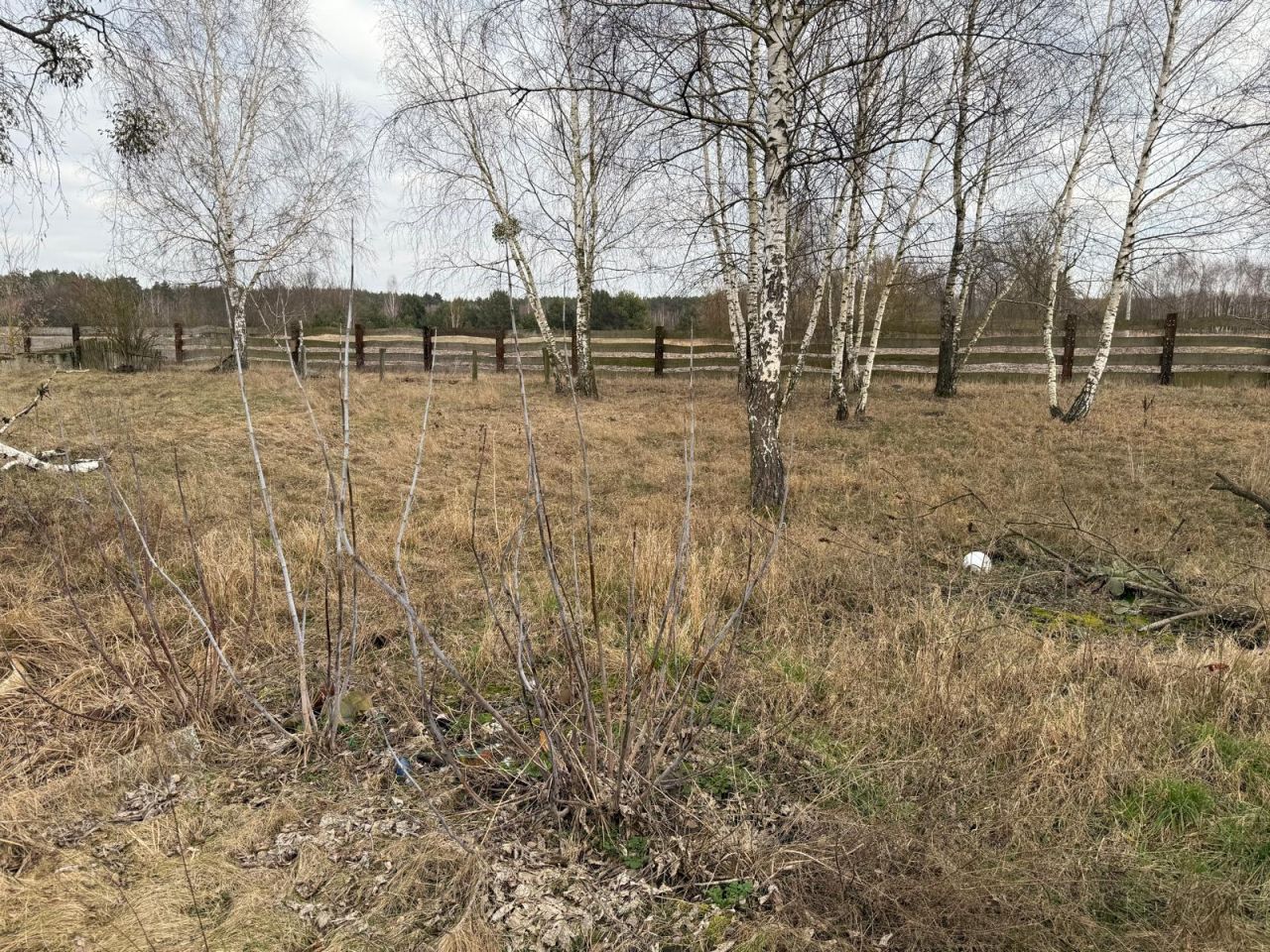 gospodarstwo, 5 pokoi Gilówka Górna. Zdjęcie 7