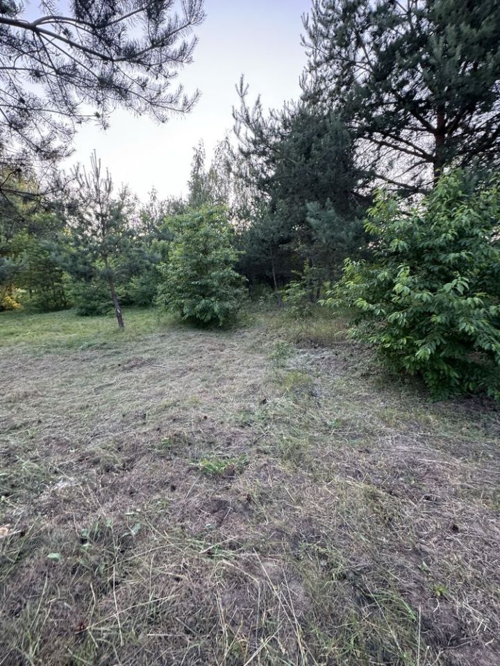 Działka rolna Piotrkowice. Zdjęcie 2