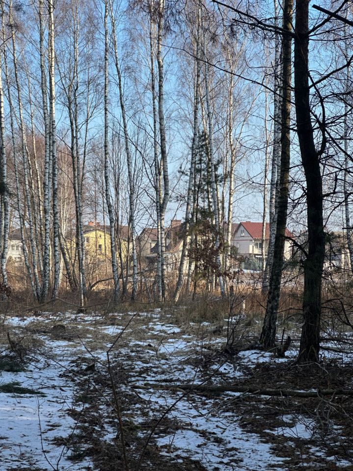 Działka inwestycyjna Dobre. Zdjęcie 2