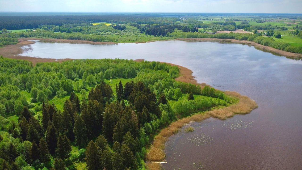 Działka siedliskowa Orzechówka. Zdjęcie 6