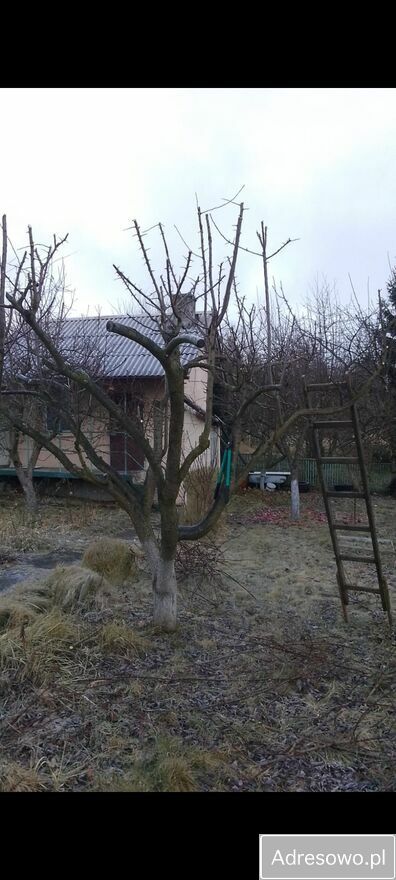 Działka rekreacyjna Zgorzelec. Zdjęcie 4