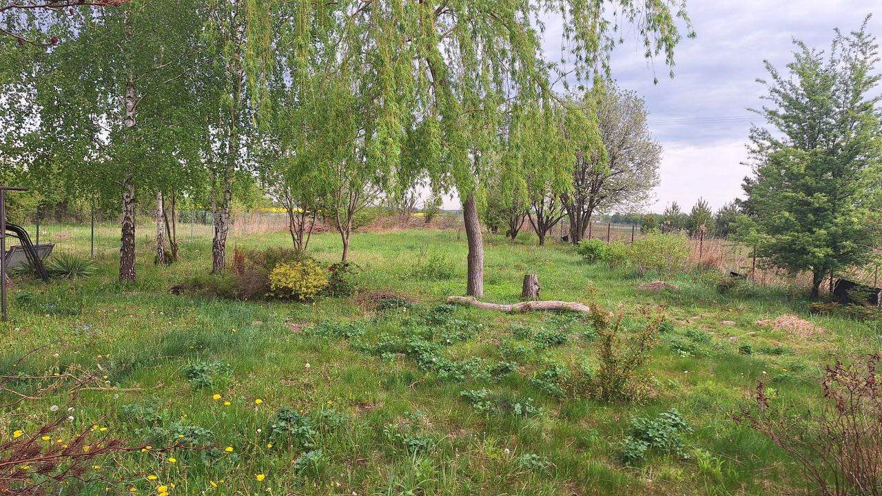 dom wolnostojący, 5 pokoi Wilczopole-Kolonia, Wilczopole-Kolonia. Zdjęcie 7
