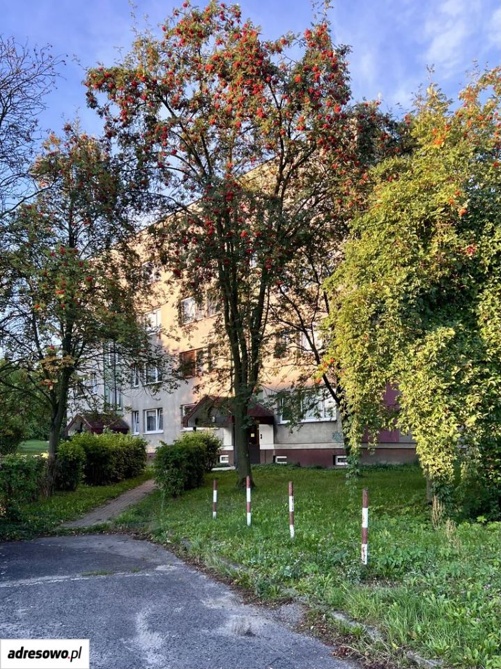 Mieszkanie 3-pokojowe Tychy Paprocany, ul. Alfonsa Zgrzebnioka. Zdjęcie 13