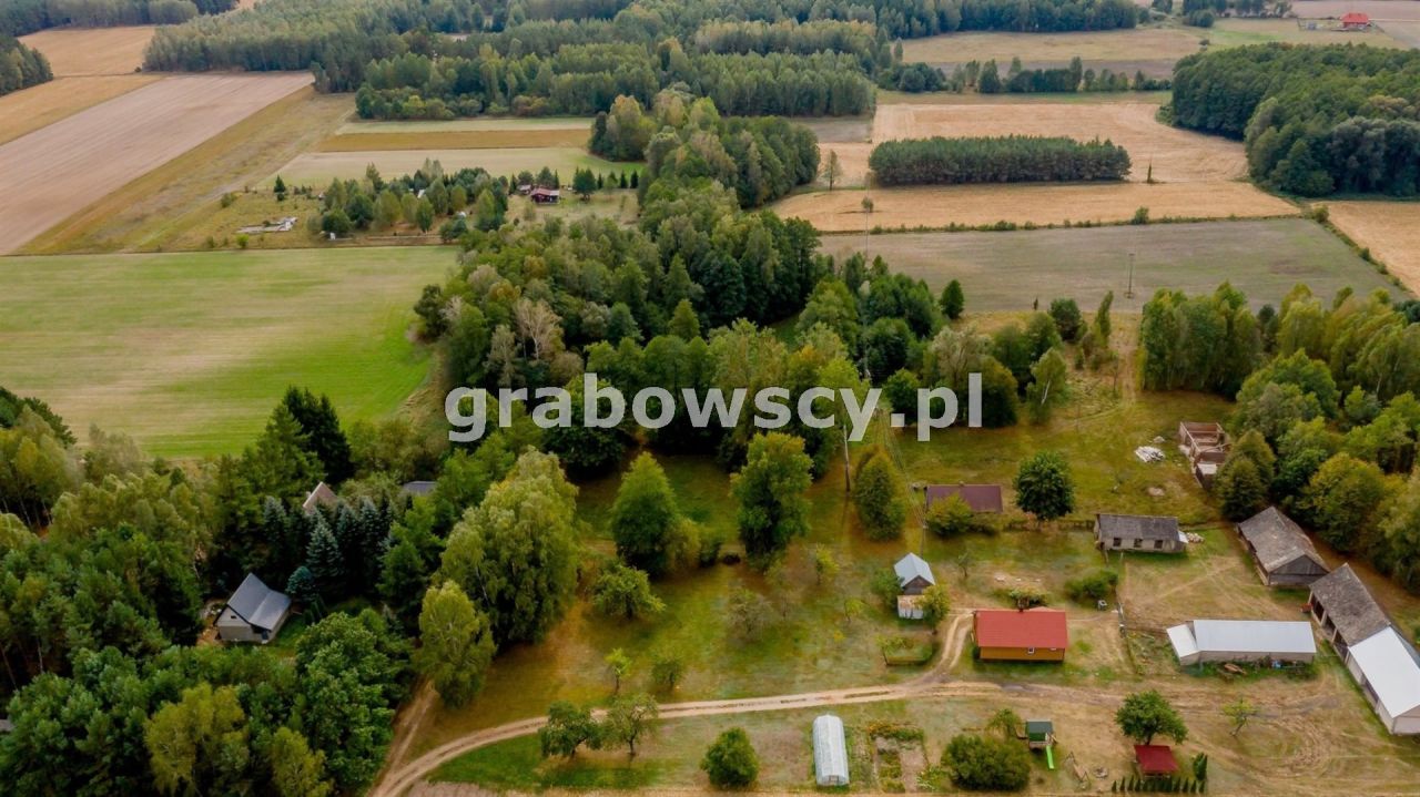 Działka rolna Wojszki. Zdjęcie 7