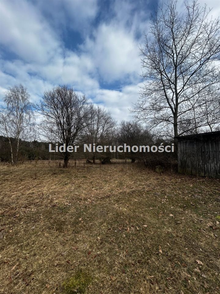 Działka rolno-budowlana Grzeszyn. Zdjęcie 6