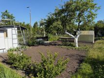 Działka rod Wrocław Ołtaszyn. Zdjęcie 1