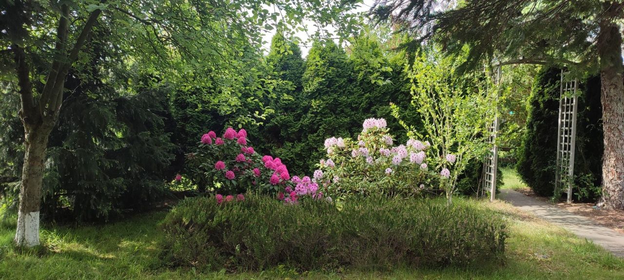 Działka rod Kędzierzyn-Koźle Pogorzelec. Zdjęcie 4