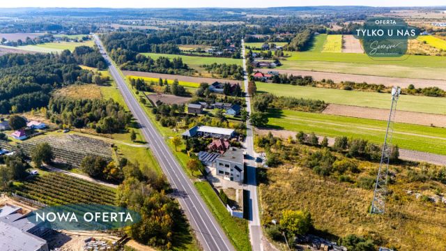 Lokal Orzechówek. Zdjęcie 6