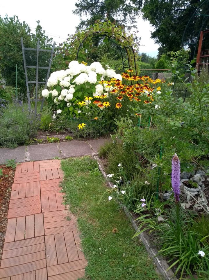 Działka rod Bytom, ul. Strzelców Bytomskich. Zdjęcie 2