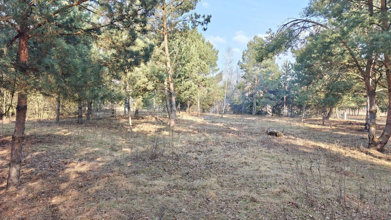 Działka budowlana Nowe Budy, ul. Sosnowa. Zdjęcie 6