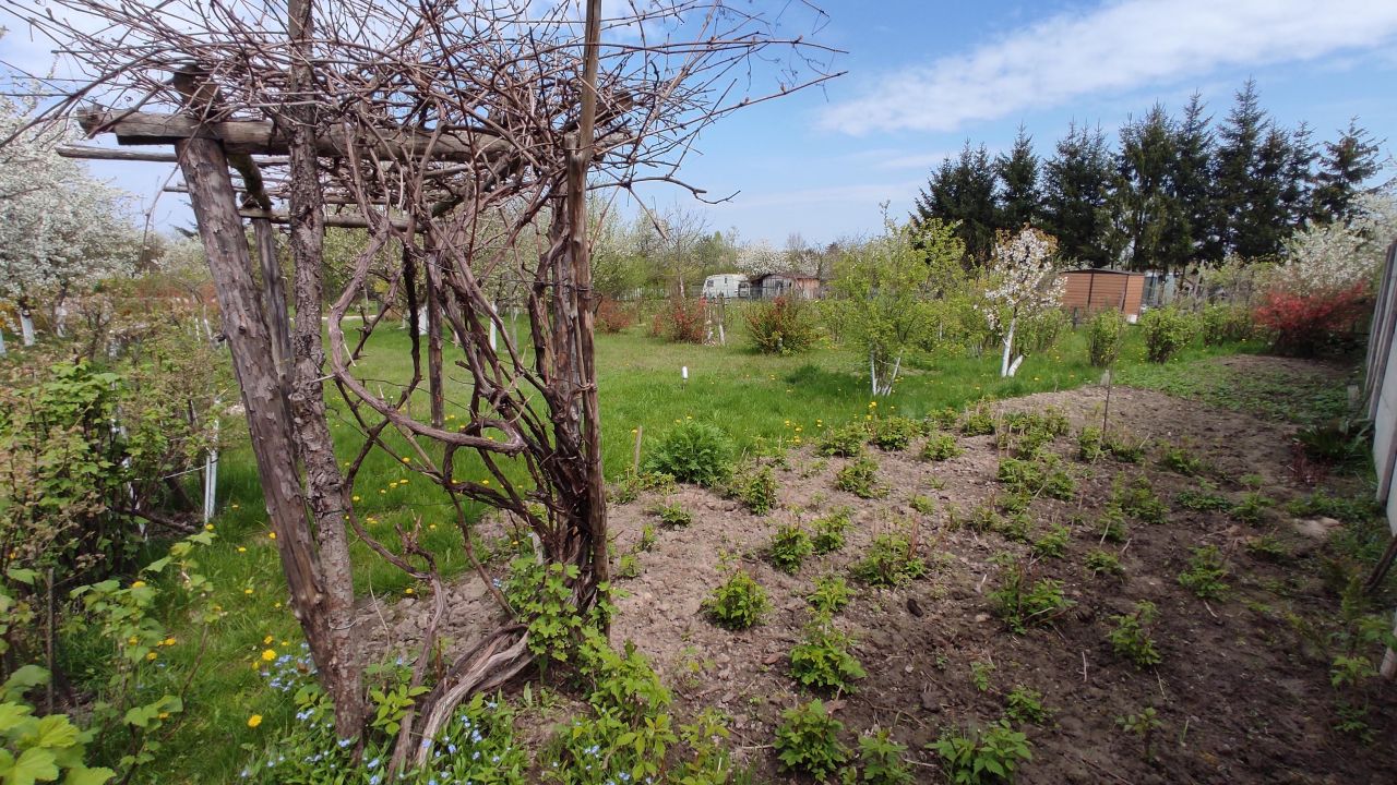 Działka rod Radom Potkanów, ul. Żelazna. Zdjęcie 5