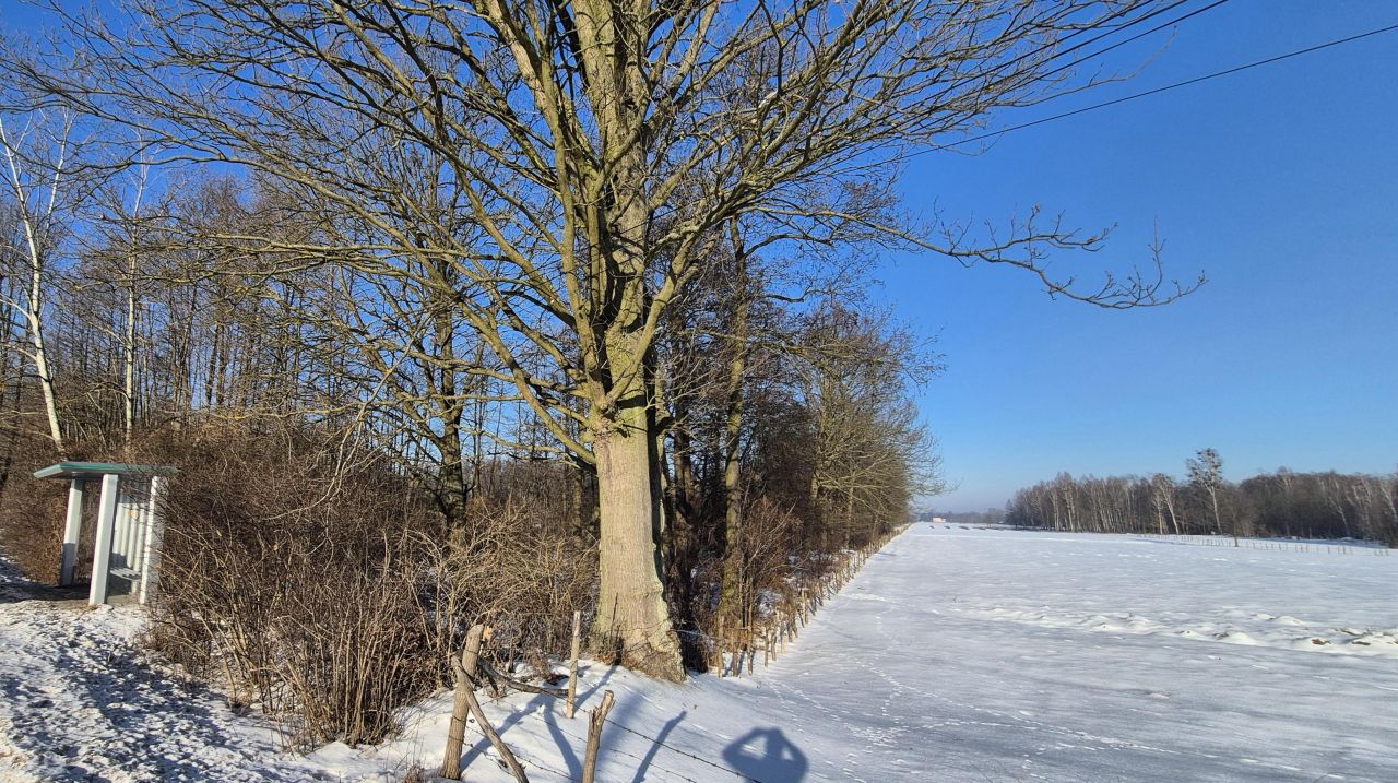 Działka rolna Secymin Polski. Zdjęcie 4