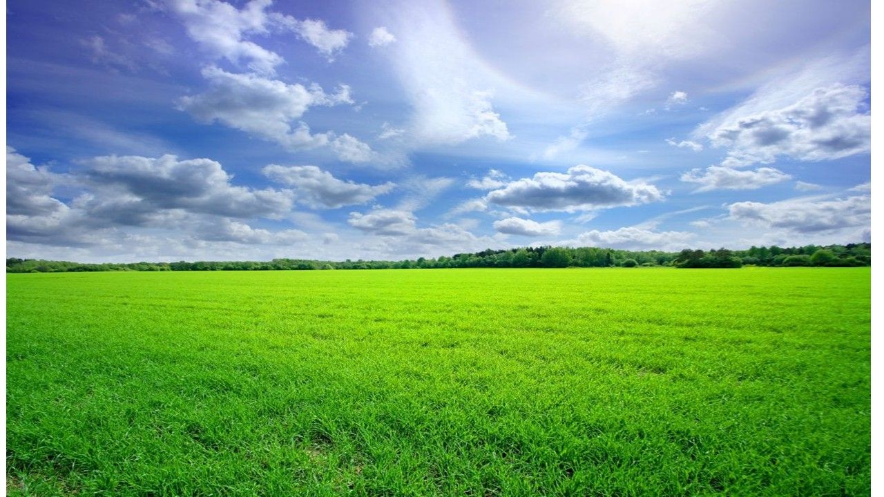 Działka rolna Kąty Drugie