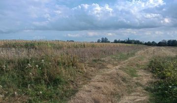 Działka rolna Siedliszcze, ul. Lipowa