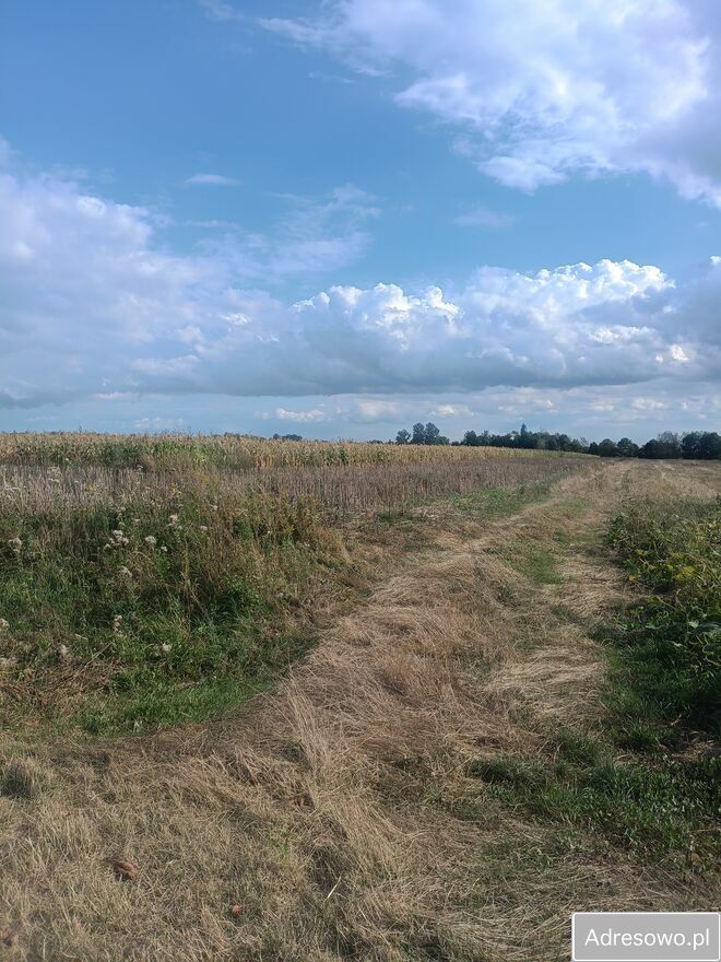 Działka rolna Siedliszcze, ul. Lipowa