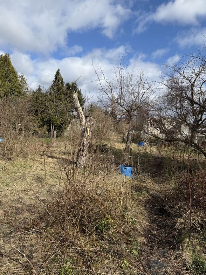 Działka rod Tczew. Zdjęcie 2