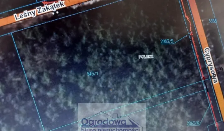 Działka leśna Popowo-Letnisko, ul. Cyprysowa