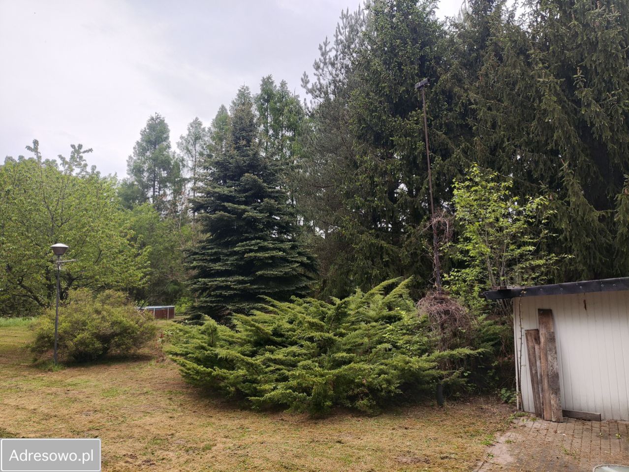 Działka rolno-budowlana Skierniewice, ul. Kasztanowa. Zdjęcie 5