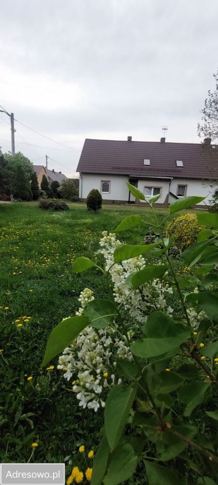 dom wolnostojący, 5 pokoi Bąkowice, ul. Główna. Zdjęcie 15