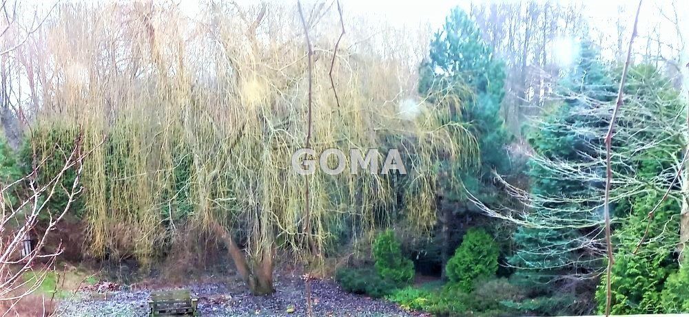 dworek, 3 pokoje Warszawa Wilanów. Zdjęcie 4