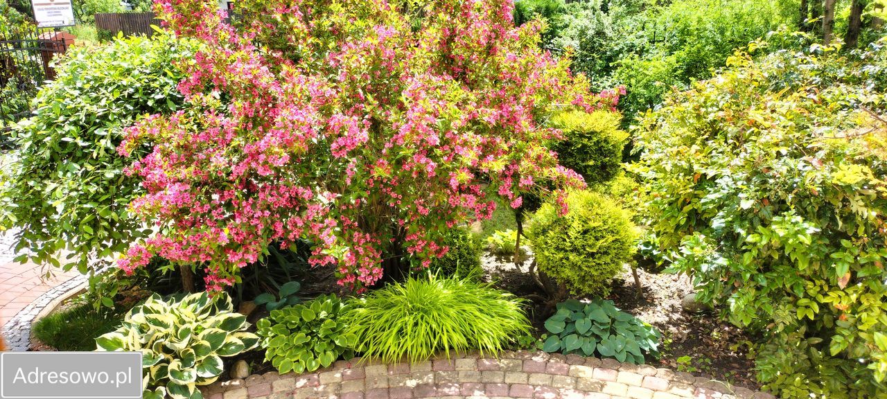 dom wolnostojący, 5 pokoi Strachosław. Zdjęcie 5