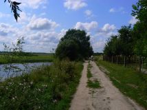 Działka budowlana Dorohusk, ul. Kościelna. Zdjęcie 3