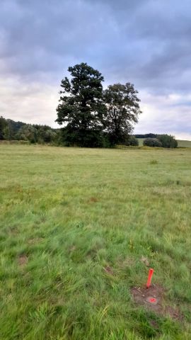 Działka siedliskowa Stara Kamienica, ul. Spacerowa. Zdjęcie 6