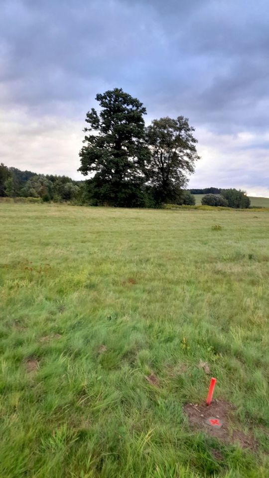 Działka siedliskowa Stara Kamienica, ul. Spacerowa. Zdjęcie 6