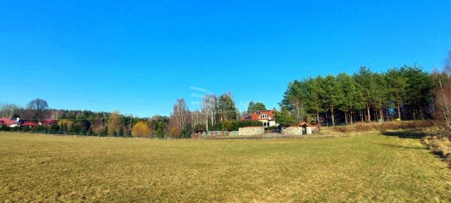 Działka rolna Marcinkowo. Zdjęcie 3