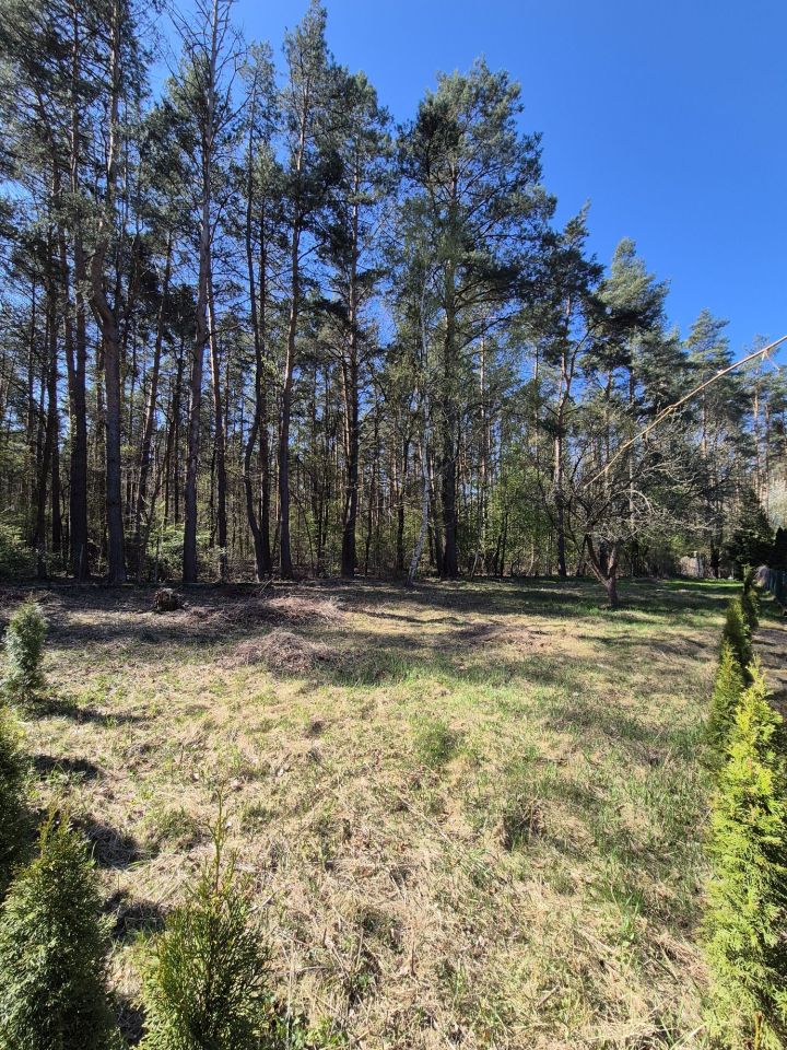 Działka rod Zielonka. Zdjęcie 3