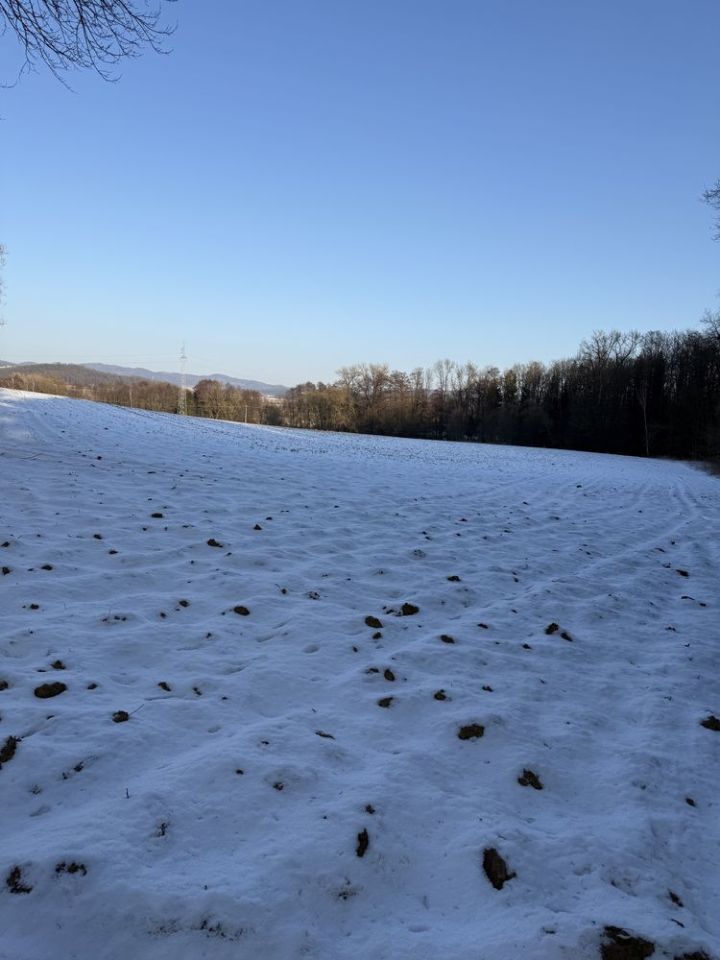Działka rolna Ścinawka Dolna. Zdjęcie 4